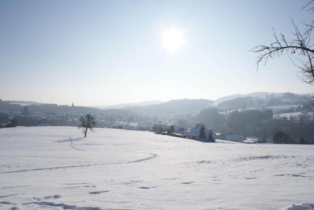 Gasthof 'Zum Alten Turm' Haslach an der Mühl Exteriör bild