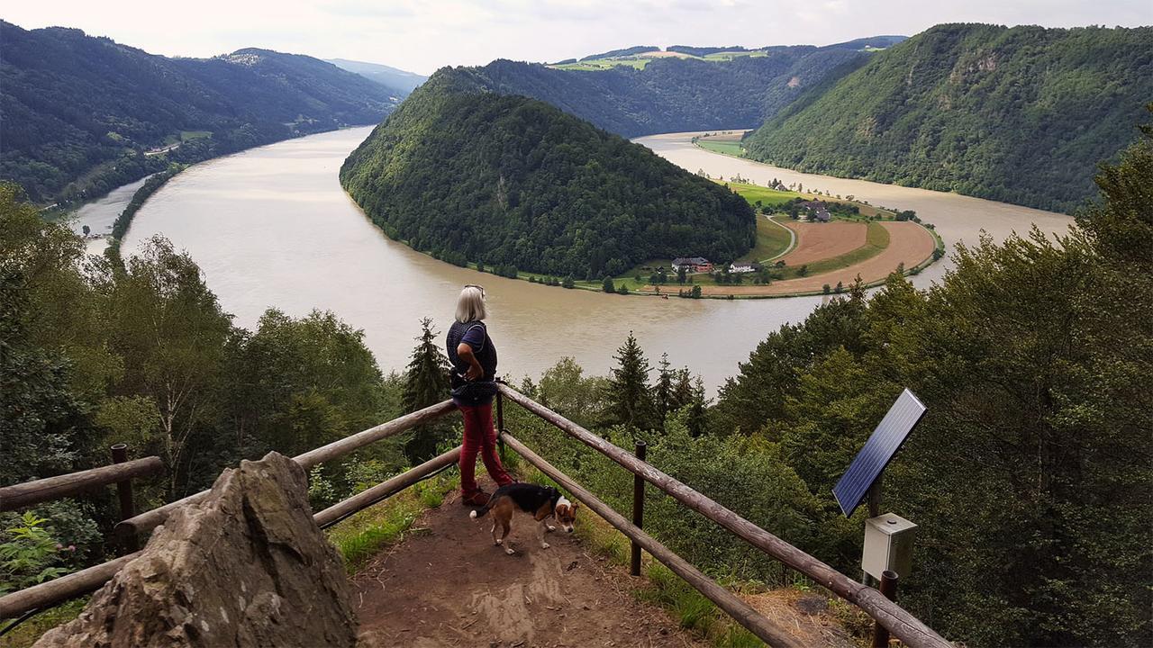 Gasthof 'Zum Alten Turm' Haslach an der Mühl Exteriör bild
